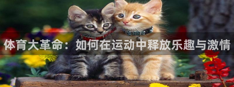 熊猫体育文化有限公司