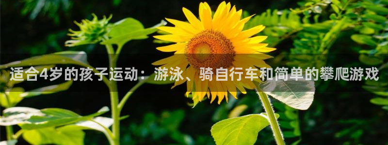 熊猫体育网站