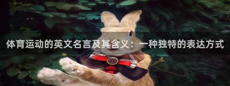 熊猫体育手机版