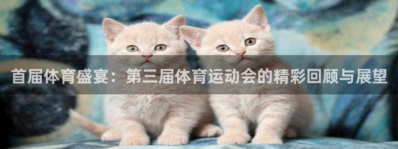 181熊猫体育