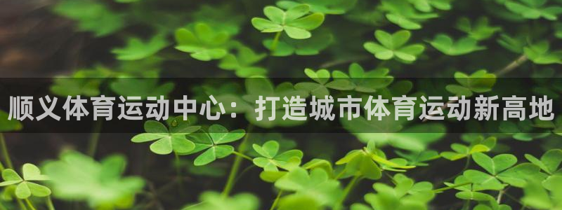 动感熊猫体育公园