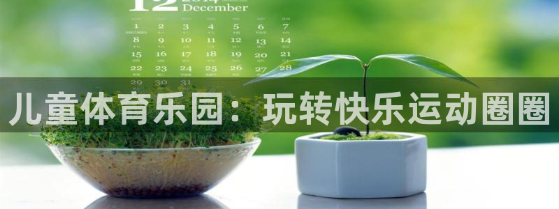 成都金熊猫体育