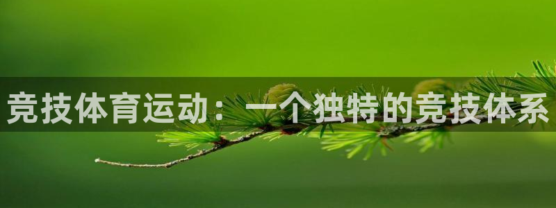 熊猫体育直播