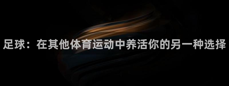 熊猫体育文化有限公司