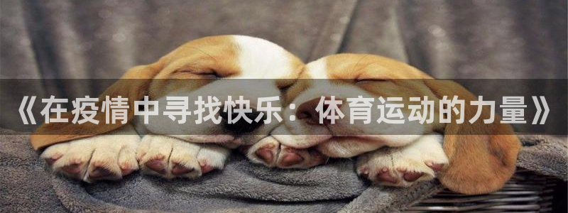 熊猫体育公园