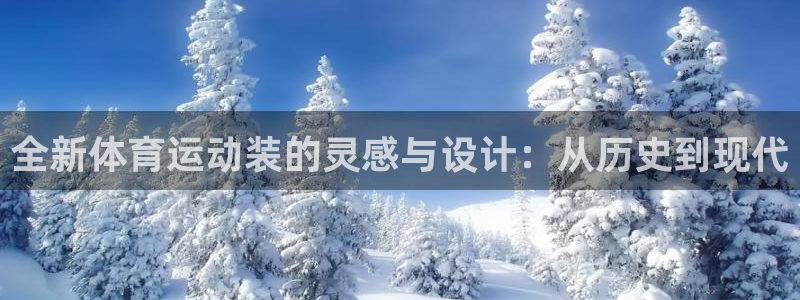 动感熊猫体育公园：全新体育运动装的灵感与设计：从历史到现代