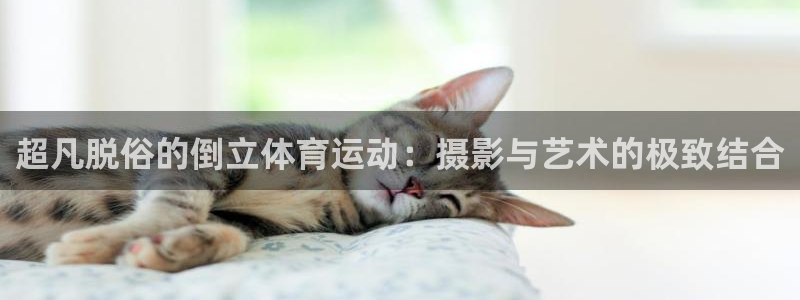 成都熊猫体育公园：超凡脱俗的倒立体育运动：摄影与艺术的极致结合